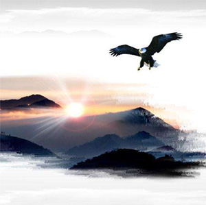 洛陽安太建筑保溫材料有限公司